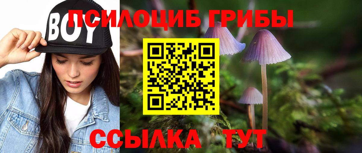 Псилоцибиновые грибы мухоморы Павлово