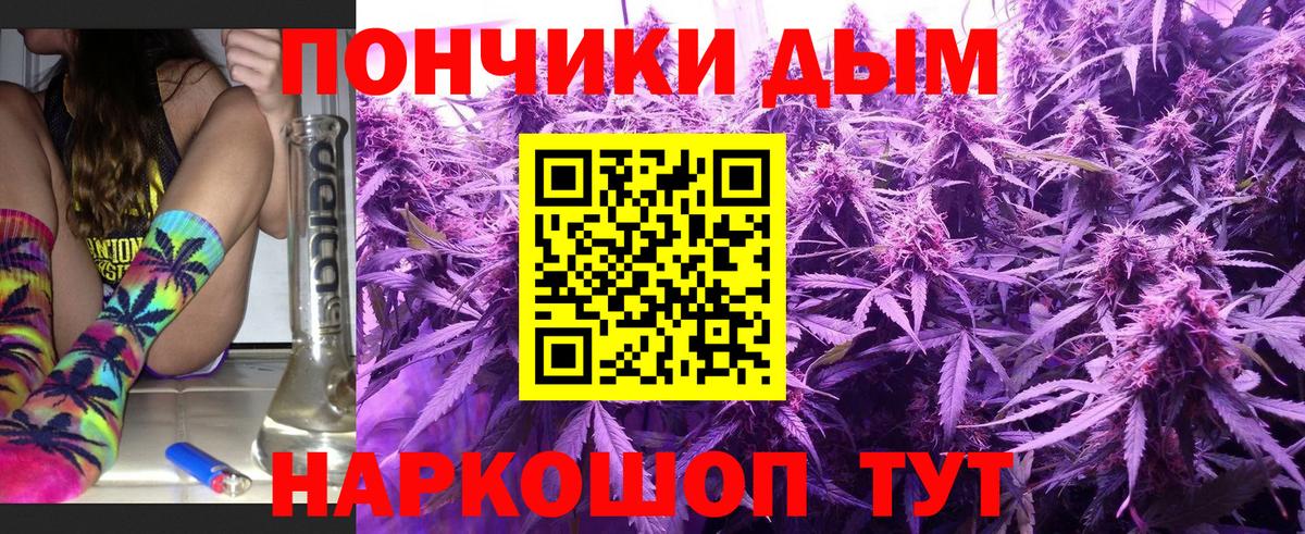Бошки Шишки сатива  Шишки марихуана планчик  Павлово  Вход с VPN 